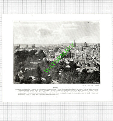 Oxford / Farne Islands Cormorants Nests - c.1900 Book Print