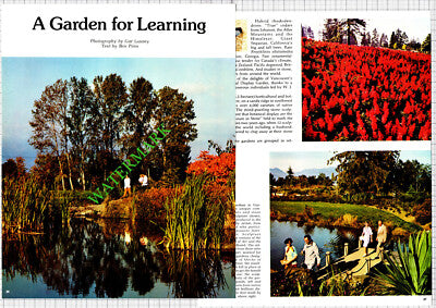 The VanDusen Botanical Gardens Vancouver Canada  - 1977 Article