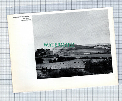 C4671) Dean & Chapter Collery Pit Heap - c.1960s Cutting