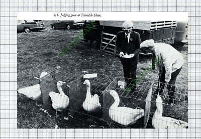 Farndale Show - 1970s Cutting