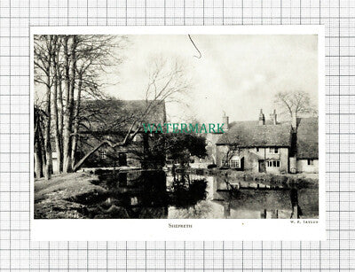 C5673) Shepreth - 1940s CUTTING