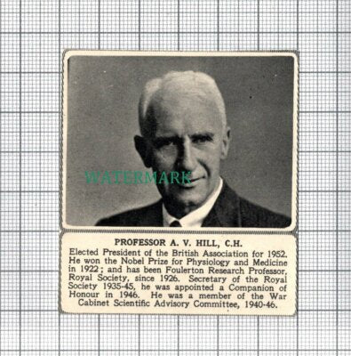 C3984) Professor A V Hill War Cabinet Foulerton c.1950s Cutting