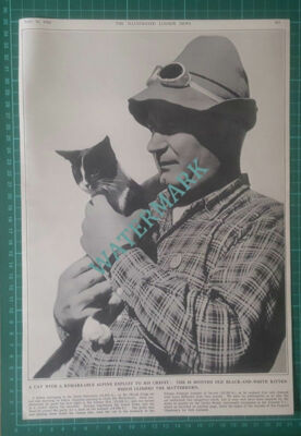 (X631) Hotel Belvedere Cat That Climbed The Matterhorn Switzerland - 1950 Clip