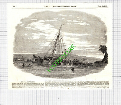 The ALARM Yacht J Wild Lulworth Castle Barnpool Condy  -  1850 Cutting / Print