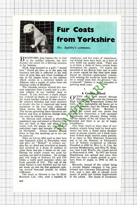 Allerton Mink Farm Mink Research Ltd  - 1962 Cutting