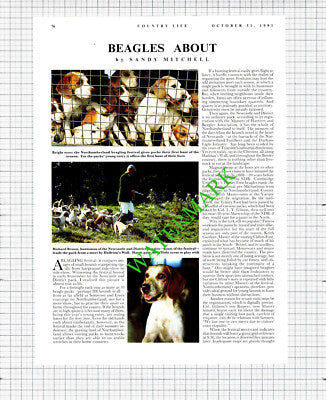 Newcastle & District Beagles Richard Brown Britannia James Eberle - 1991 Article