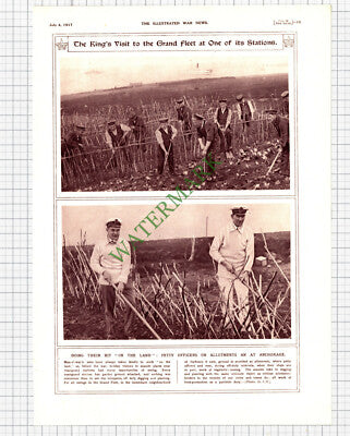 9951) Royal Navy Officers Coastguard Station World War One - 1917 Cutting/ Print