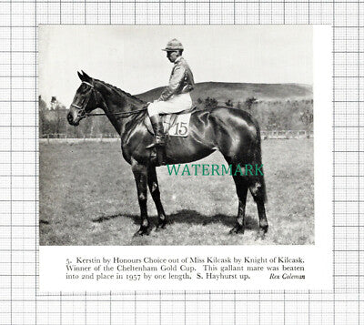 C5454) S Hayhurst Horse Jockey Kerstin - 1959 Cutting