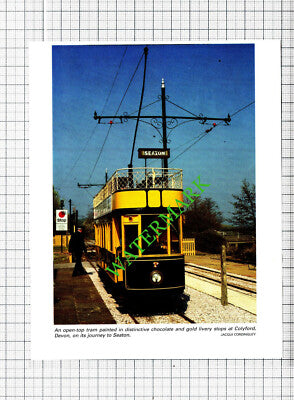 Colyford Devon Seaton Tram - c.1995 Cutting