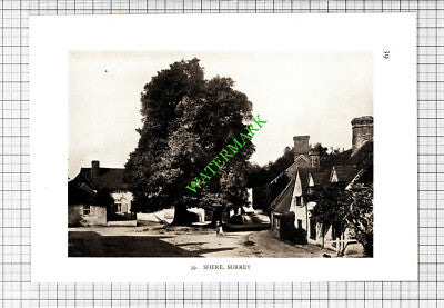 Shere Surrey / Thursley Smarden Kent - 1932 Cutting/ Print