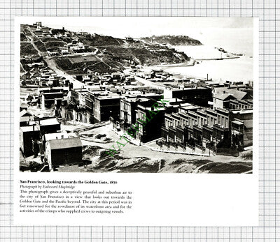 9803) San Francisco America   - Cutting