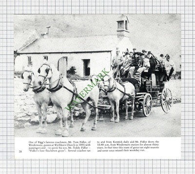 Mr Tom Fidler Wythburn Church Rigg Teddy Fidler Bowness Windermere - Cutting