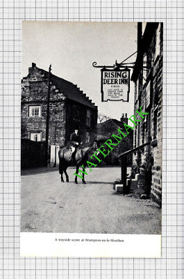 Brampton-en-le-Morthen Rising Deer Inn - 1970s Cutting / Print