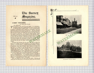 8914) REIGATE Surrey Percy Lane Oliver  - 1902 Article