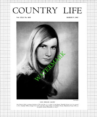 Miss Brigid Ashby Mayfield Sussex Jonathan Miller  -  1967 Cutting