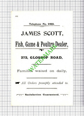 W Downing & Sons Estate Agents Sheffield  / James Scott Poultry - 1908 Cutting