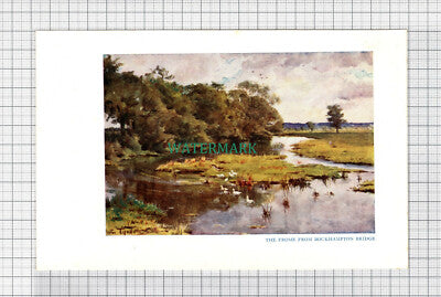 C5084) The Frome From Bockhampton Bridge Dorset - SMALL Print c.1948