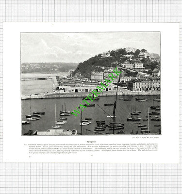 Totnes / Torquay Devon - c.1900 Book Print