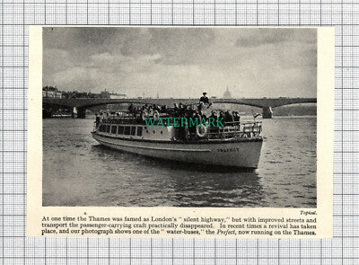 C4065) River Thames Water Bus PREFECT - 1950s Clip