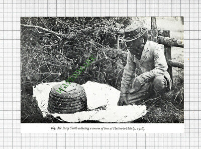 Mr Percy Smith Hutton-le-Hole Bees   - 1970s Cutting