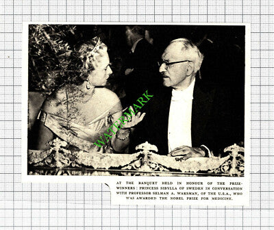 Professor Selman A Waksman Nobel Prize For Medicine  - 1952 Cutting