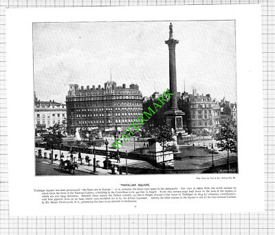 Trafalgar Square London / House Of Lords  - c.1900 Book Print
