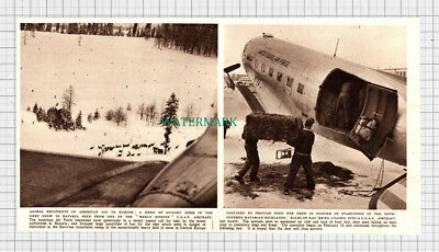 C3589) USAF Aircraft American Air Force Help Deer In Bavaria Snow 1952 Clip