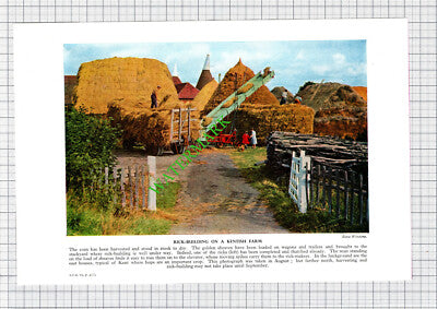 Combine Harvester Harvesting / Kent Oast House Farm - c.1950s Book Print