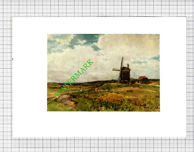 Winchelsea Mill Sussex - c.1913 Small Print