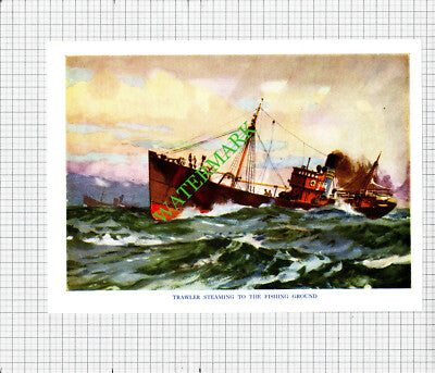 Yachts Sailing / Fishing Trawler Boat  - c.1948 Print