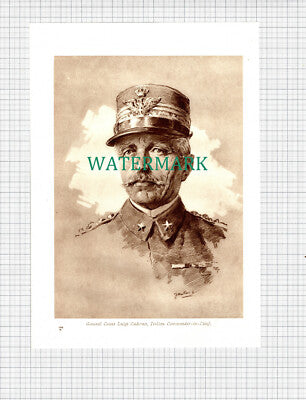 X1268) Gen Count Luigi Cadorna Italy WW1 World War One - c.1916 Book Print