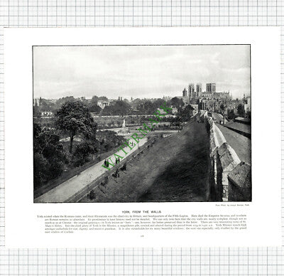 CARMARTHEN QUAY / YORK  - c.1895 Book Print