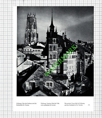 Switzerland Fribourg Town Hall / Greyerz Family  - 1970s Cutting / Print