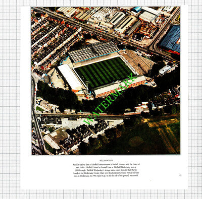 Hillsborough Football / Barnsley Yorkshire - 1980s Cutting /  Print