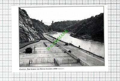 Clifton Gorge Bristol Tennis Courts - Cutting