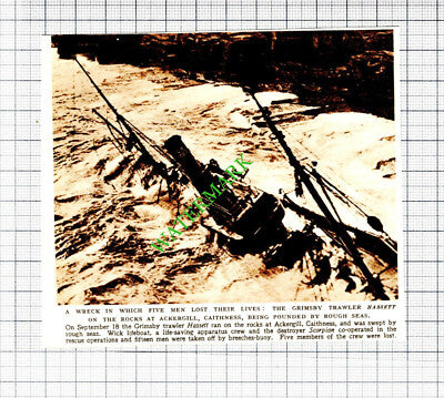Grimsby Trawler HASSETT  Ackergill Caithness Wrecked - 1953 Small Cutting