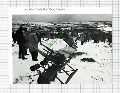 Lumley House Farm Danbydale  - 1970s Cutting