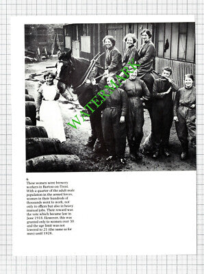 Burton-on-Trent Brewery Women Workers - 1980s Cutting