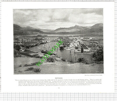 Harrogate Bog Gardens / Portmadoc Wales - c.1900 Book Print