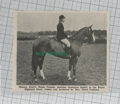 C1283) Mrs Hazel England Messrs Scott Maple Fanada Horse Show - 1969 Clip