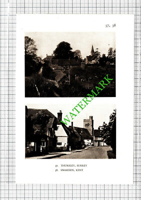 Shere Surrey / Thursley Smarden Kent - 1932 Cutting/ Print