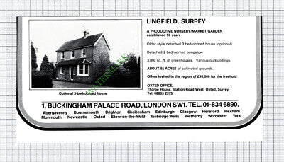Lingfield Surrey House Sale Advert - 1981 Cutting