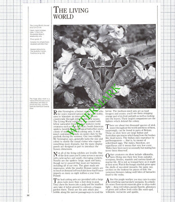 The Living World Sussex Robin Symington David Rushen - 1986 Cutting