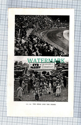 C4511) Westward Ho Golf / Syd Passey Bookmaker - c.1939 Print
