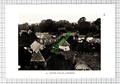 Nether Wallop Hampshire / Cattistock Charminster Dorset - 1932 Cutting/ Print