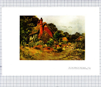9503) Wilfrid Ball Edge Of Wood  Road Through Forest - c.1980s Print / Cutting