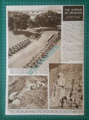 (X491) The Ruins Of Karnak Reconstruction Avenue of Sphinxes Gonheim 1950 Clip