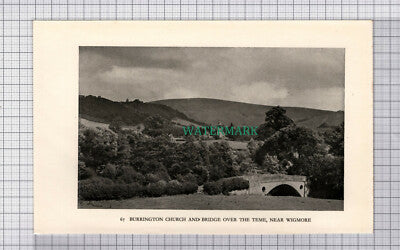 C5382) Burrington Church Wigmore - 1938 Cutting
