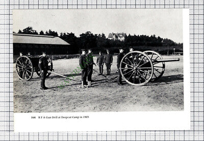 C3964) Deepcut Camp  - Cutting
