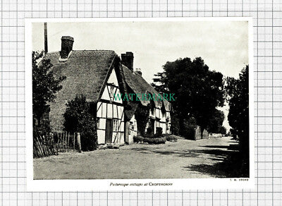 C5664) Cropthorne - 1940s CUTTING